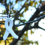 Take A Stand Against Domestic Violence and Support the White Ribbon Campaign Politics