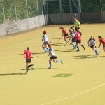 Team Hastings 2016 Review Sport