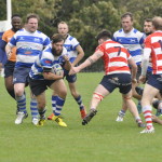 Wind-Blown H & B Stay Realistic Sport