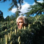 Robyn Hitchcock Reviews