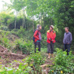 Woodland Walking in the Heart of Hastings Health and Environment