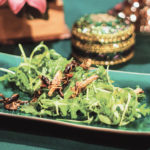 Is Eating Insects the Future of Sustainability? Features