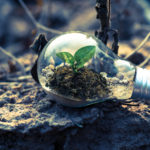The Green Transformation Politics