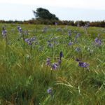 New Country Park Centre To Reveal Hidden History Health and Environment