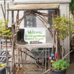 Back Into The Light –Restoring A 1930s Greenhouse Health and Environment