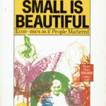 Bookbuster Book Review Literature