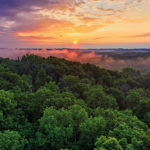 The Amazon in Flames Politics