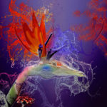 Arts