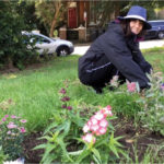 Gardening Guerrillas And Biophiles Health and Environment