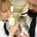 Local Rspca Offers Free Talks To Community Groups Community