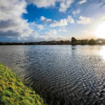 Bexhill Road: Risks Uncovered News