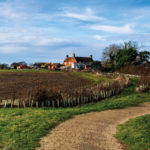 Solar Farms – Half a Step Forward, Two Back News