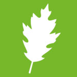 Health and Environment