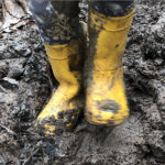 A Mud Free Walk Well-being