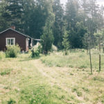 Sweden In The Time of Corona News