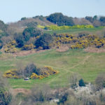 England Coast Path Plans Welcomed by SEG News