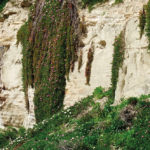 Health and Environment