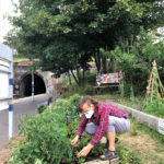 Keep Growing This Summer At St Leonards Own Community Garden Community