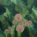 Art and Science Collide at the BakiiBak Gallery Arts