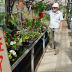 Heritage open days at Alexandra Park greenhouse News