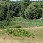 Back the wild Health and Environment