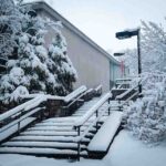 Chancellor’s Winter Economy Plan Business