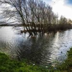 Bulverhythe Objectors Multiply News