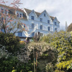 Recruiting to St Michael’s Hospice Board of Trustees Community