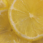 Sustainable Sipping Food & Drink