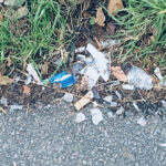 Oval Concert Turns Litter Fest News