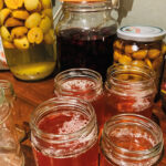 Foraging in Autumn Food & Drink