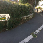 Roadkill fails to trigger traffic measures News
