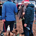Christmas Rituals Community