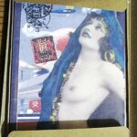 The Erotic Sweetshop Arts