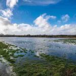 Hastings Council Admits Defeat News