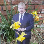 Springtime for Boris Features
