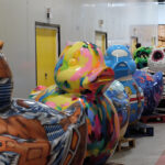 The Ducks have landed News
