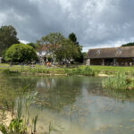Hastings Launches a Bright World of Imagination News