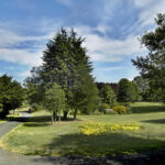 Happy Birthday Gensing Gardens! Community