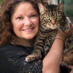 Cat Behaviourist and Groomer Features