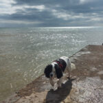 Finding Balance on the Beaches Community