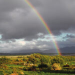 SATIRE: A Postcard From Ireland Satire
