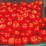 Tomatoes: good for the heart Food & Drink