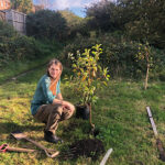 Reforesting Hastings News
