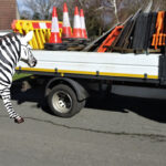 Hastings Surrealism Fails To Fly Satire