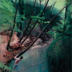 Enfolded by Nature Arts