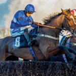 Plumpton New Year: A Day at the Races Sport