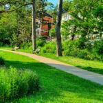 Safety Measures in the Park – not welcomed by all News
