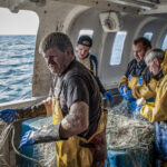 HIP BOOK REVIEW: Rewilding the Sea Literature