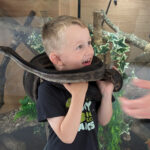Valentino’s Vivarium Features